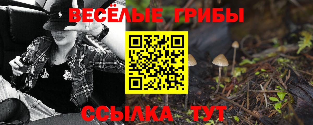 Галлюциногенные грибы мицелий  Вход с VPN  Феодосия 